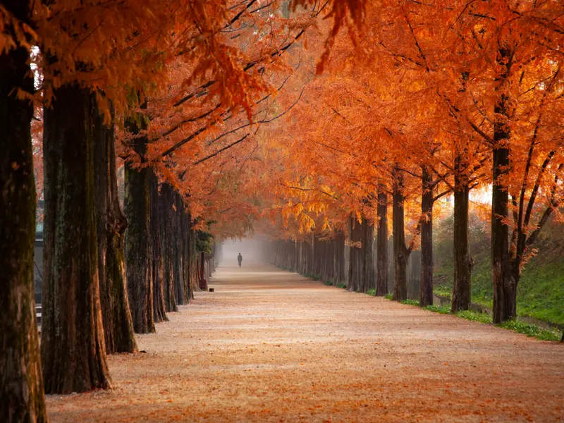 VREMEA Scad temperaturile cu 10 grade. Diferențe foarte mari de la o zi la alta Foto: Pexels (fotografie cu caracter ilustrativ)