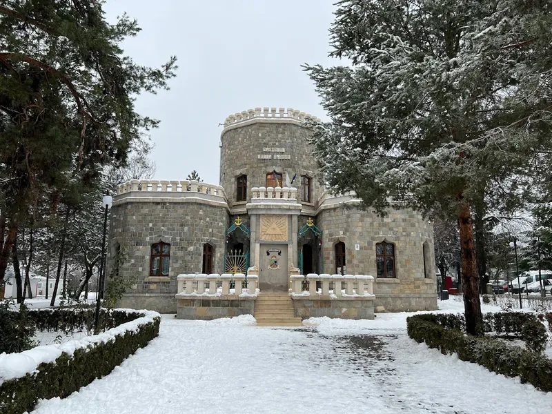 Castelul Iulia Hasdeu.Sursa Foto  Mihai Pătrașcu Facebook