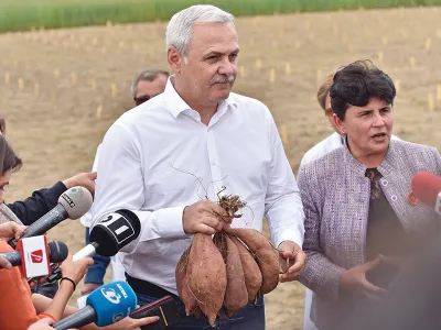 Noua guvernare PNL se chinuie să descâlcească moștenirea pesedistă și ridichile puse de oamenii lui Dragnea - Foto: INQUAM PHOTOS