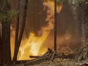 Si sudul Franței e amenințat de incendiile de vegetație. FOTO: Facebook