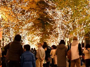 Japonia - Foto: BBC