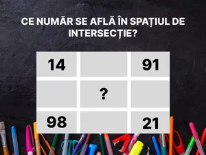 Test de inteligență. Ce număr se află în spațiul de intersecție Foto: Newsweek România