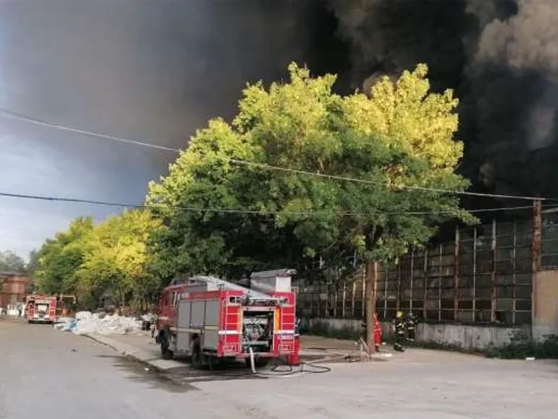 Incendiu în localitatea Mija, din Dâmbovița. FOTO: ISU Dâmbovița