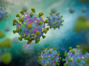 Un coronavirus pentru care nu există vaccin circulă nestingherit prin lume de 56 de ani