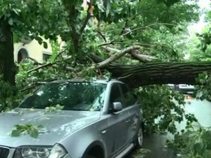 Maşină distrusă de copac: ghid de luptă cu Primăria ca să obțineți despăgubiri/FOTO: ziaruldeiasi.ro