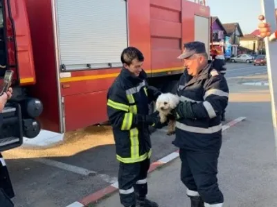 Interventie din 2019 pentru salvarea unui cățel Foto: Giurgiuveanul