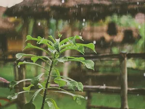 Fenomene meteo extreme, ploi, furtuni puternice şi intensificări ale vântului, în Grecia/FOTO: Unsplash