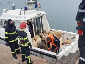 Oile salvate de pe nava răsturnată la Petromidia Foto: ISU Constanța