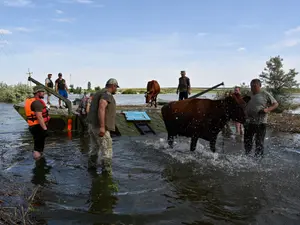 Marea Neagră devine „groapă de gunoi și cimitir de animale" - Foto: Profimedia