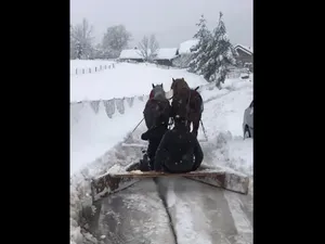 România 2023: Străzi din Câmpulung Moldovenesc, deszăpezite cu un plug improvizat, tras de cai. - Foto: captură video