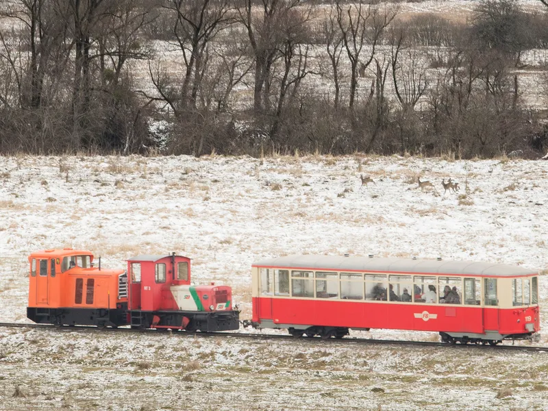 Prima locomotivă de cale ferată îngustă construită și livrată în România în ultimii 31 de ani. / Foto: Asociatia Prietenii Mocanitei, Facebook