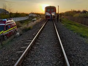 Un văcar a traversat calea ferată cu animalele fără să se asigure. A fost lovit de tren. / Foto: Info Trafic 24, Facebook