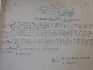 Holocaustul romilor. Sursa: Inspectoratul General al Jandarmeriei, Dosar 43/1943, vol. II, 8, via Romii din România și Holocaustul – Adrian Nicolae Furtună