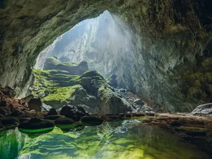 Misterul peșterii care are o rețea subterană de peste 400 km. Aici se găsesc flori rare - Foto: Mammoth Cave/ Facebook