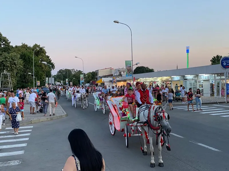 Singurii „actori” care au dat o notă aparte, „vieneză”, evenimentului au fost trăsurile cu cai. / Foto: Newsweek România