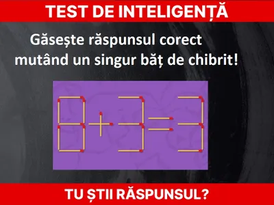 Test de inteligență Foto: Newsweek România