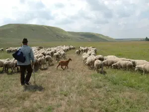 Ce este Vara lui Mioi și cât ține? Tradițiile și superstițiile românilor la început de octombrie - Foto: Profimedia Images (rol ilustrativ)