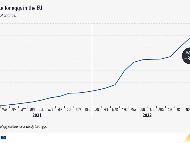 Creștere preț ouă în Europa Foto: Eurostat