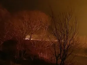 Incendiu în Deltă - Foto: Arhivă