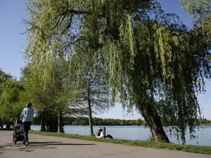 Descoperire macabră în lacul Herăstrău - Foto: INQUAM Photos/Octav Ganea - cu rol ilustrativ