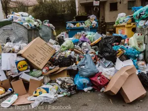 Gunoaie în Târgu Mureș - Foto: Facebook/ Primăria Târgu Mureș