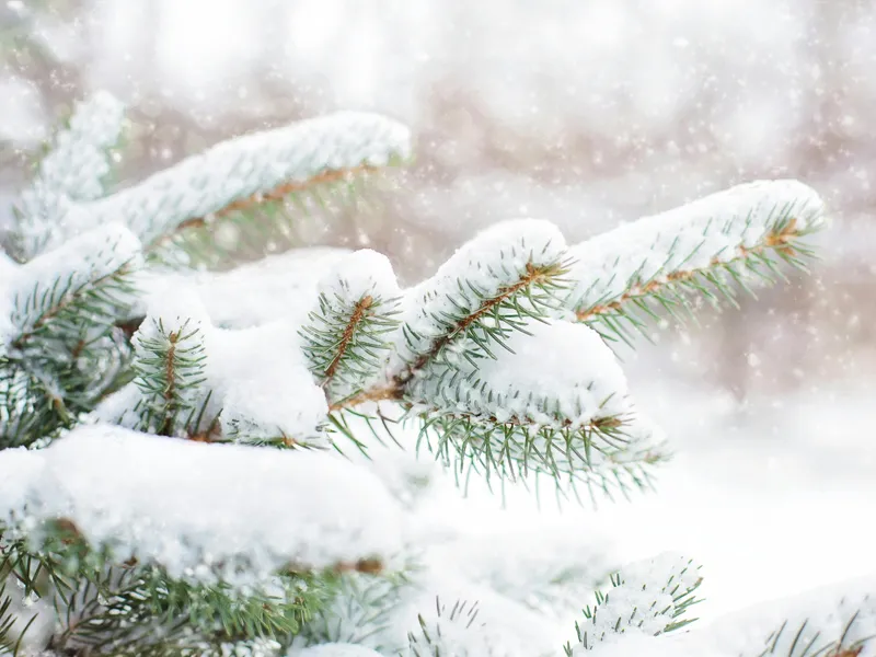 METEO Europa va fi sub un val de aer rece care va aduce un strat de nea. Vom avea zăpadă de Crăciun? Foto: Pexels (fotografie cu caracter ilustrativ)