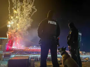 Poliția la Neversea - Foto: MAI