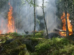 Incendii de pădure în Europa-Foto: PEXELS PHOTOS