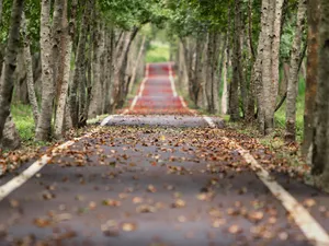 Vreme relativ caldă încă 2 săptămâni. / Foto: pexels.com