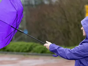 Meteorologii anunță cod galben de vânt în 9 județe din țară. Care sunt zonele vizate? - Foto: Istock / imagine cu rol ilustrativ