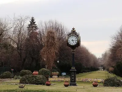 Parcul Cișmigiu/FOTO: pixabay.com