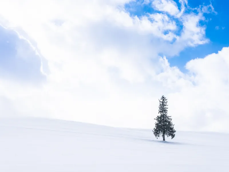 METEO Temperaturile au scăzut cu 20 de grade în țară. Cât mai ține iarna în România? foto: Freepik (fotografie cu caracter ilustrativ)