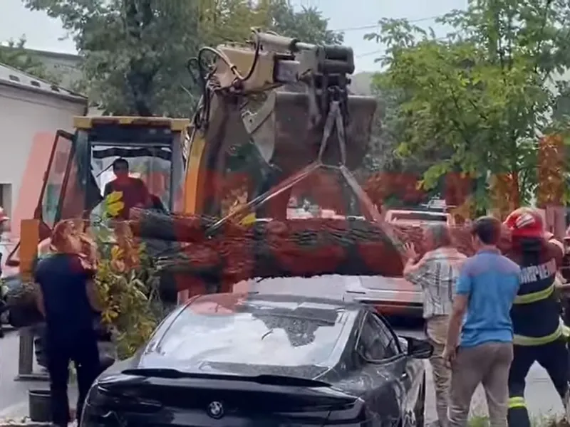 Un copac cade pe un BMW Seria 8. Apoi, „Dorel” îl scapă din excavator. / Foto: captură ecran