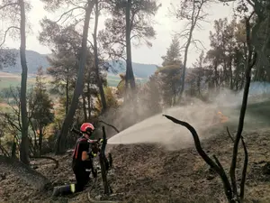 Un incendiu a izbucnit luni lângă Atena, mai multe locuințe au fost evacuate/FOTO: Facebook/IGSU