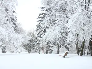 VREMEA Astăzi vine prăpădul alb. Sunt anunțate ninsori, lapoviță și ger în anumite orașe din țară Foto: Pexels (fotografie cu caracter ilustrativ)