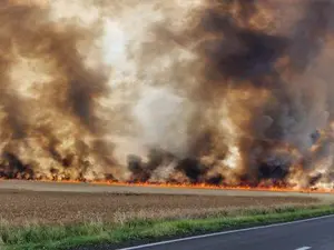 Incendiu cereale - Foto: Opinia Timișoarei