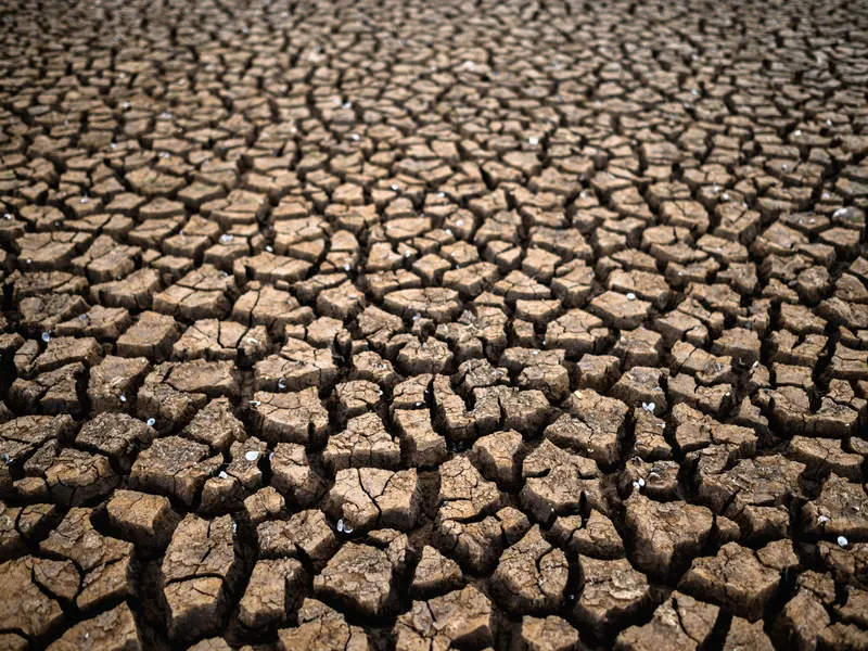 ANM îi va ajuta pe fermieri să anticipeze fenomenele meteo extreme și să optimizeze producțiile foto: Freepik (fotografie cu caracter ilustrativ)