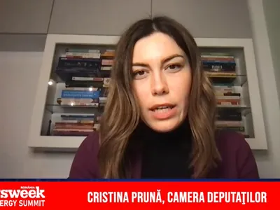 Cristina Prună: Comisiile de anchetă din Parlament nu prea ajung la concluzii. Raport uitat