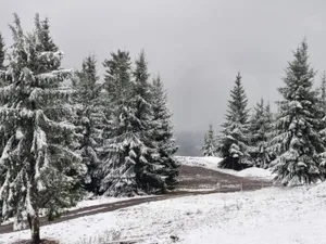 METEO România sub un aer polar. Temperaturile ajung și la -18 grade! Zonele vizate - Foto: Profimedia Images (imagine cu rol ilustrativ)