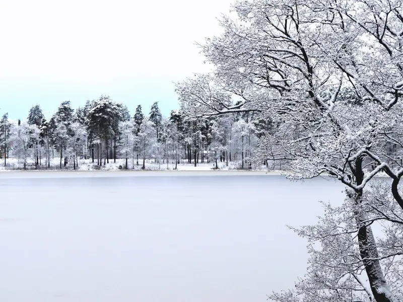 Iarna nu va dispărea, deși nu prea mai ninge. FOTO: Pexels.com