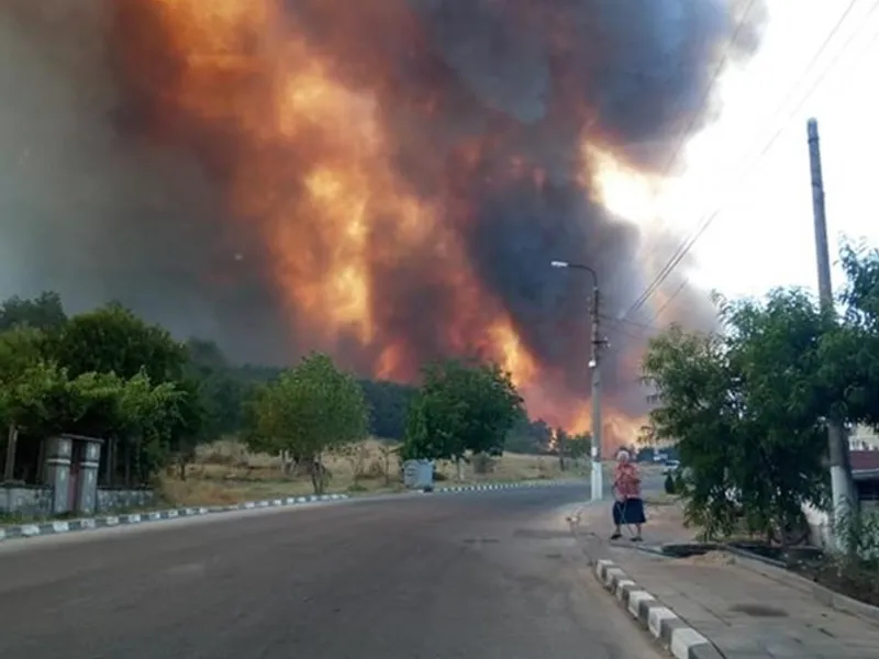 Incendiile de pădure fac ravagii în sudul Bulgariei. FOTO: Facebook