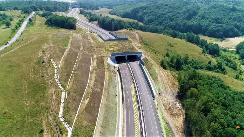 Tunel creat pentru a facilita trecerea animalelor sălbatice/FOTO: Asociația Pro Infrastructură