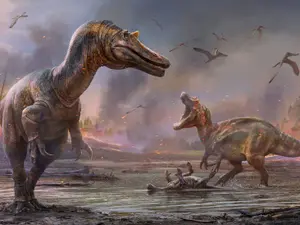 Două noi specii de dinozaur, descoperite pe Insula Wight. Ar fi trăit acum 125 de milioane de ani. / Foto: bbc.com