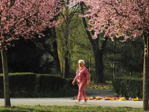 În ce oraș din România se află cea mai frumoasă stradă din Europa - FOTO: Pexels(imagine cu rol ilustrativ)