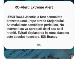 Mesajul Ro Alert Brașov începe cu o expresie controversată. FOTO: Facebook