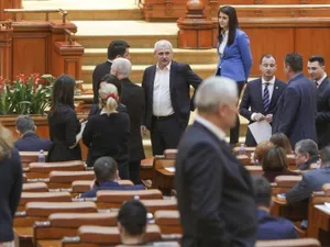 PSD se laudă cu un amendament al PNL. Foto Inquam Photos/Octav Ganea