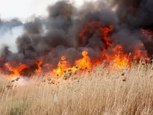 Incendiu puternic. Trafic feroviar afectat în Dobrogea, dincolo de Medgidia. Trenurile sunt oprite - Foto: gds.ro (imagine cu caracter ilustrativ)