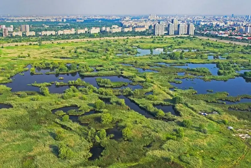 Primăria Capitalei a preluat în administrare Parcul Național Văcărești. / Foto: news.ro