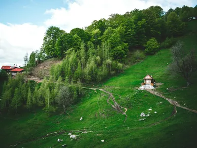 Ce este „Prima conectare” și cum pot primi românii 1900 de euro? Trebuie să abă venituri de 1700 lei Foto: Pexels (fotografie cu caracter ilustrativ)