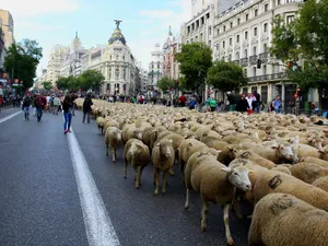 Oi la Madrid - FOTO: Telemadrid